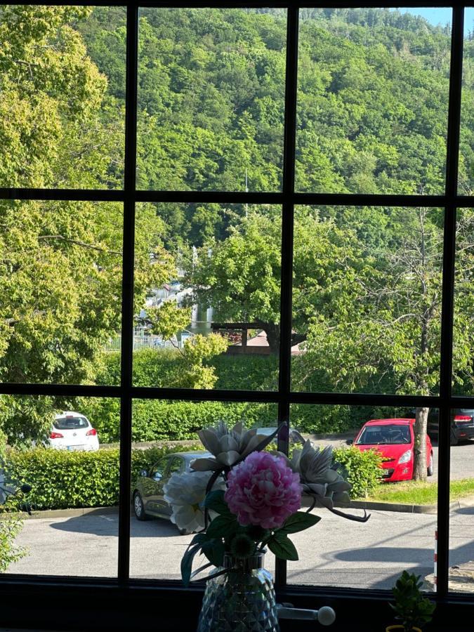 Green Seeblick Hotel Am See Obermaubach Luaran gambar