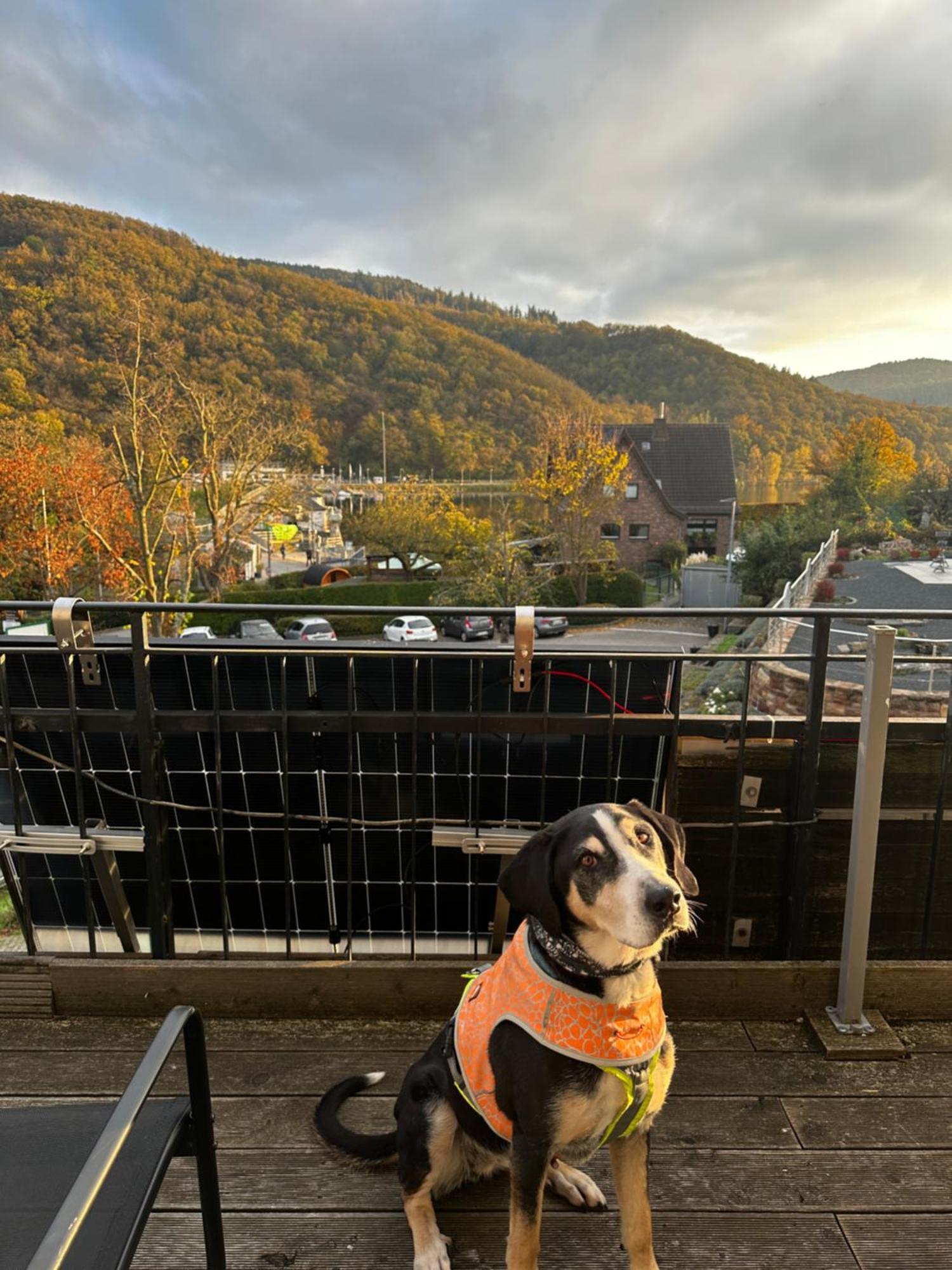 Green Seeblick Hotel Am See Obermaubach Luaran gambar